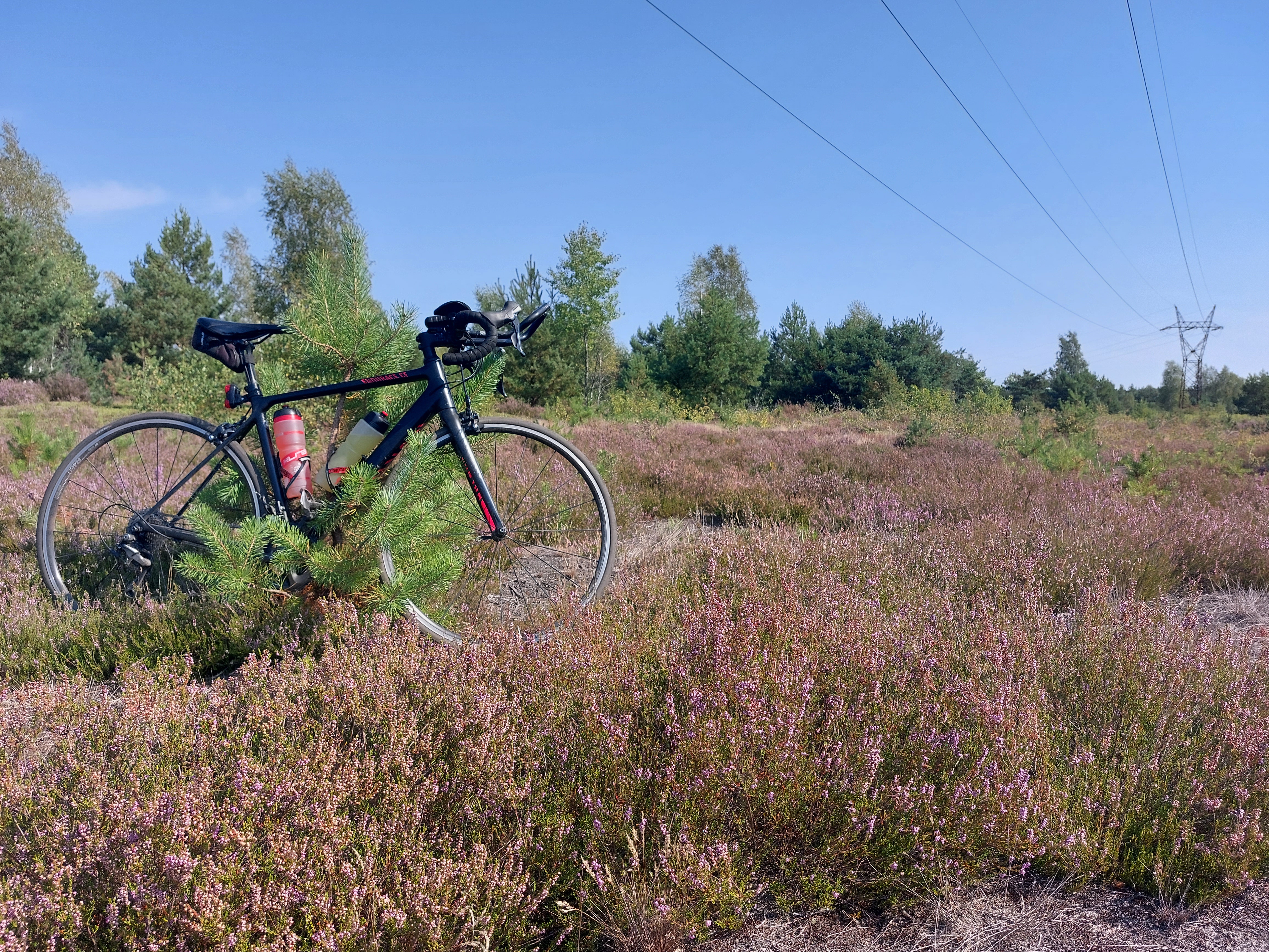 Kolarskim szlakiem wrzosów i bitew